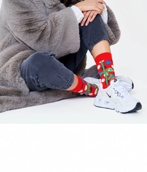 Happy Socks  Christmas Gift Socks christmas gift (4300)