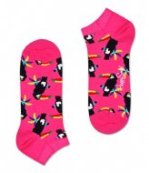 bright socks