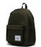 Herschel Supply Co.  Herschel Classic Backpack Ivy Green (04281)