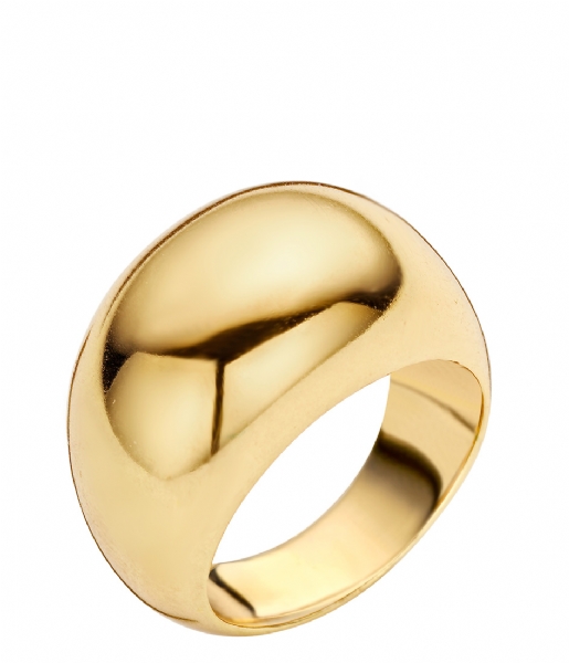 Jewellery by LouLou  Elegance Plated Ring goud