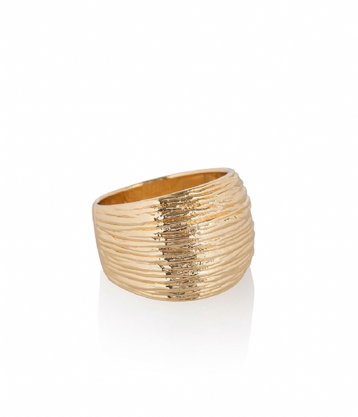 Jewellery by LouLou  Elegance Plated Ring  goud