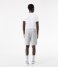 Lacoste  1HG1 Men's Shorts 01 Silver Chine (CCA)