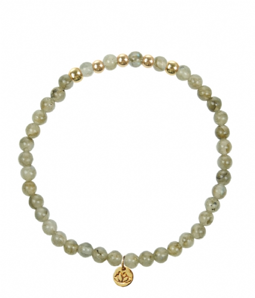 MAS Jewelz  Armband Labradoriet Beads labradoriet & goud