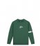 MalelionsJunior Captain Sweater Dark Green (036)