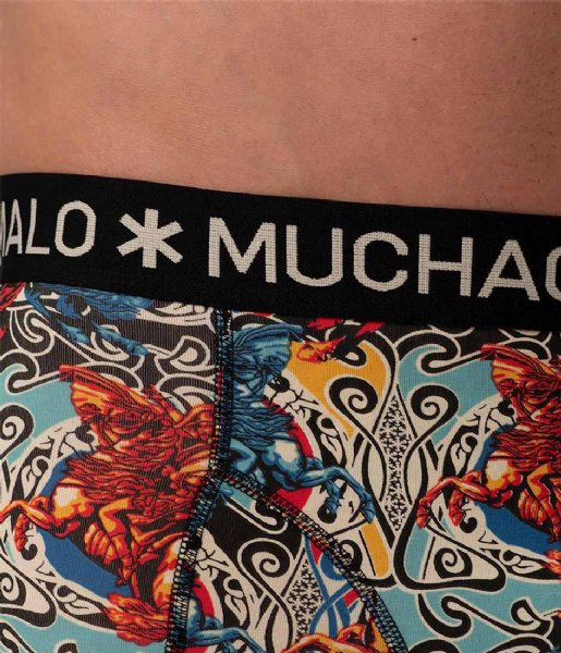 Muchachomalo  Men 2-Pack Boxer Shorts Alps Print/Print