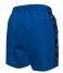 Nike  4 Inch Volley Short Game Royal (494)