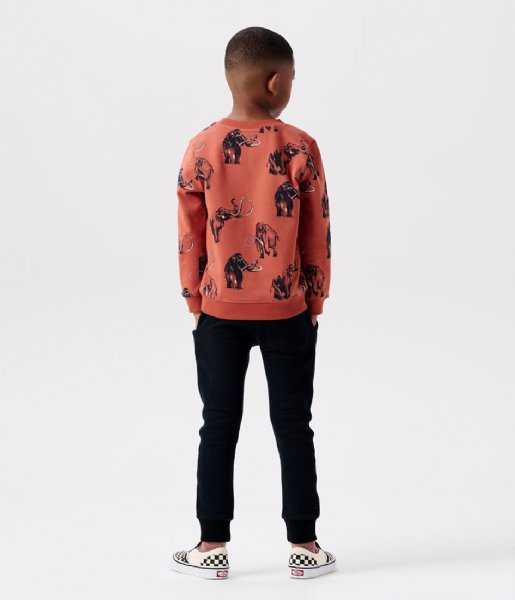Noppies  Boys Sweater Westchase Long Sleeve Allover Print Chutney (N109)