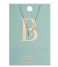 Orelia  Necklace Initial B pale gold plated (10752)