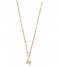 Orelia  Initial H Satellite Chain Neck Gold Plated