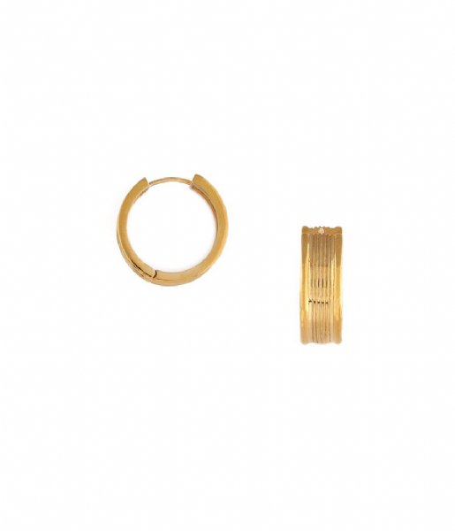 Orelia  Linear Mid Size Hoop Gold colored