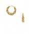 Orelia  Rope Twist Mid Size Hoops Gold colored