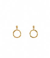 Orelia Mini Open Circle Drop Stud Earrings Gold colored