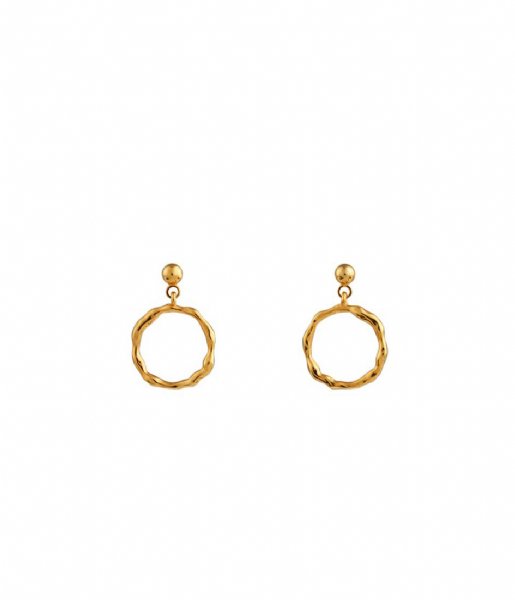 Orelia  Mini Open Circle Drop Stud Earrings Gold colored