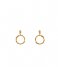 Orelia  Mini Open Circle Drop Stud Earrings Gold colored