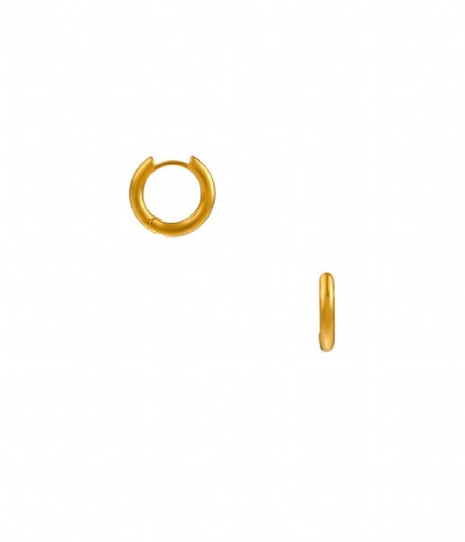 Orelia  Everyday Elevated Hoops Gold Plated
