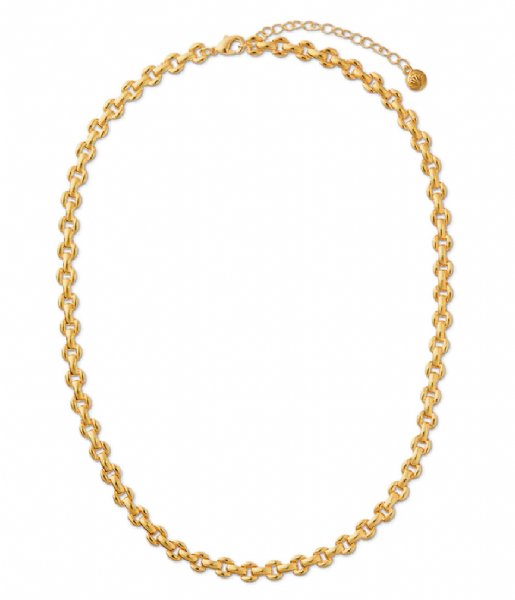 Orelia  Vintage Link Chain Necklace 16 Inch Pale Gold
