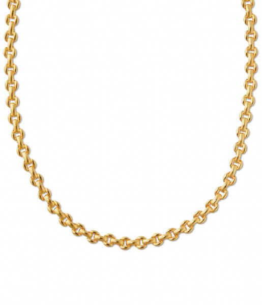 Orelia  Vintage Link Chain Necklace 16 Inch Pale Gold