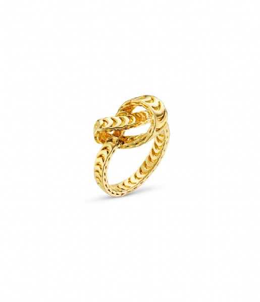 Orelia  Textured Knot Ring Pale Gold