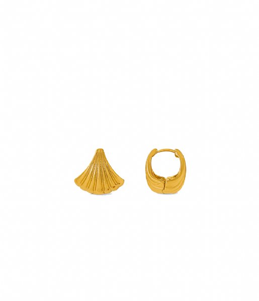Orelia  Scallop Fan Earring Pale Gold