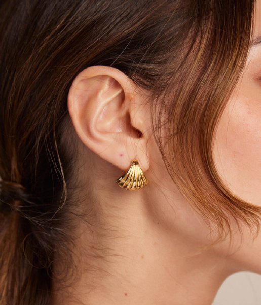 Orelia  Scallop Fan Earring Pale Gold