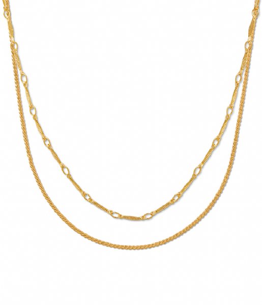 Orelia  Dainty Chain 2-Row Pale Gold