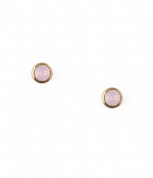 Orelia  stud earrings rose Gold colored