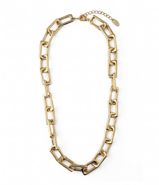 Orelia  Rectangular link necklace Gold colored