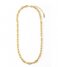 Orelia Ketting Mariner Chain Necklace Goudkleurig