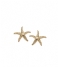 Orelia  Mini Starfish Stud Earrings pale gold
