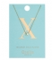 OreliaNecklace Initial X pale gold (ORE21168)