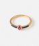 Orelia  Oval Jewel Ring pale gold plated (23353)