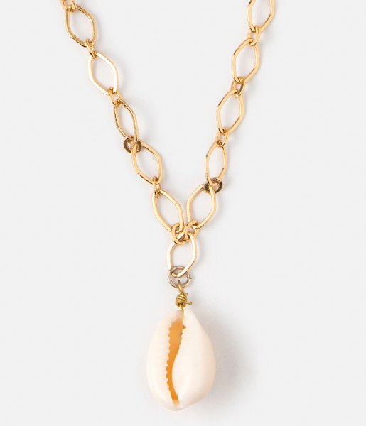 Orelia  Cowrie Shell Chain Necklace gold plated (ORE24281)