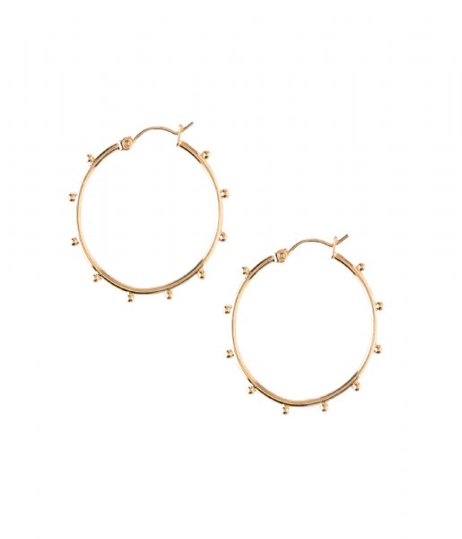 Orelia  Metal Beaded Hoop Earrings pale gold plated (ORE24070)