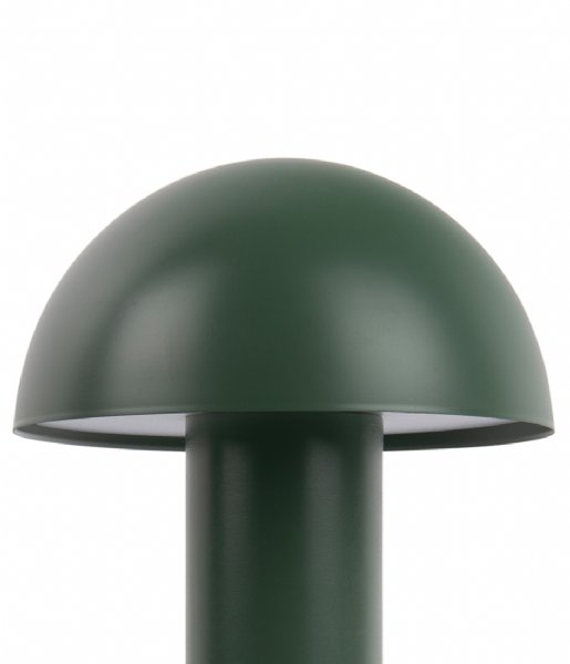 Leitmotiv  Table Lamp Fuego Led Iron Jungle Green (LM2164GR)