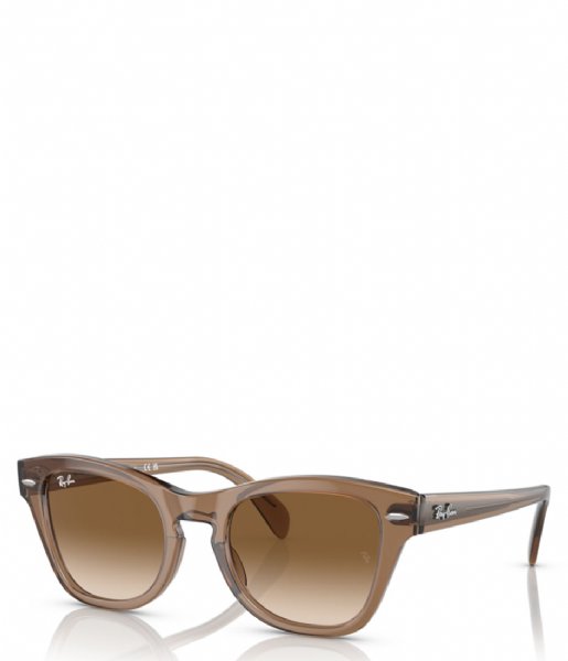 Ray Ban  0RB0707S Bruin (664051)
