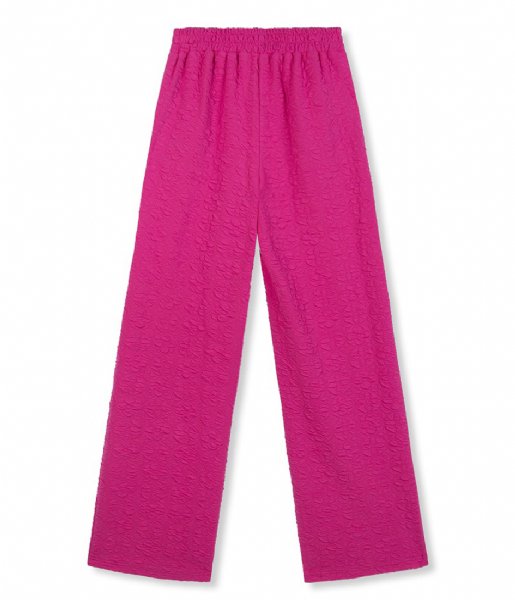 Refined Department  Knitted Structured Pants Rita Fuchsia  (302)