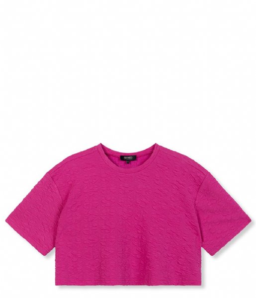 Refined Department  Knitted Cropped T-Shirt Clara Fuchsia  (302)