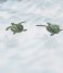 SNURK  Sea Turtles 140 x 200/220 cm kussensloop 60 x 70 cm Sea Turtles