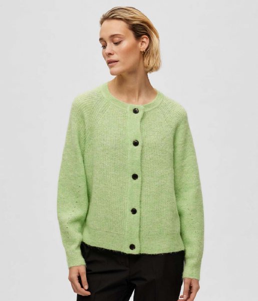 Selected Femme  Lulu Long Sleeve Knit Short Cardigan Pistachio Green (#A9D39E)