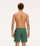 Shiwi  Men Swim Shorts Nick Cilantro Green (764)