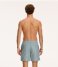 Shiwi  Men Swim Shorts Skinny Stripe Cilantro Green (764)