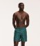 Shiwi  Men Swim Shorts Scratch Palm Cilantro Green (764)