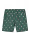 Shiwi  Boys Swim Shorts Scratch Palm Cilantro Green (764)