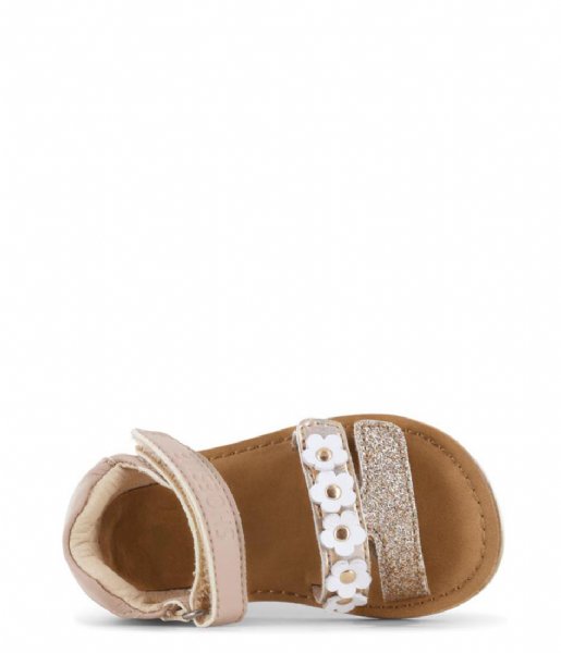 Shoesme  Classic Sandal Gold Beige (B)