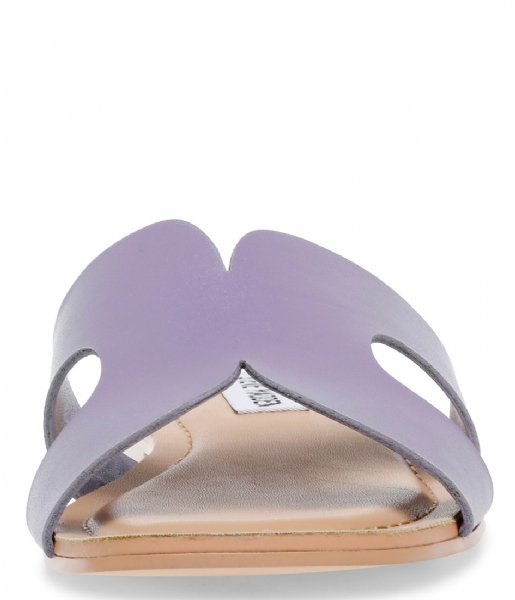 Steve Madden  Zarnia Sandal Purple Leather (501)