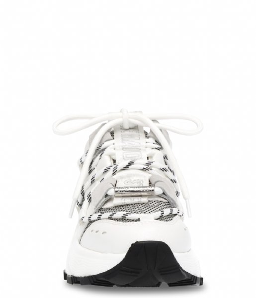 Steve Madden  Tazmania Sneaker White/Grey (739)