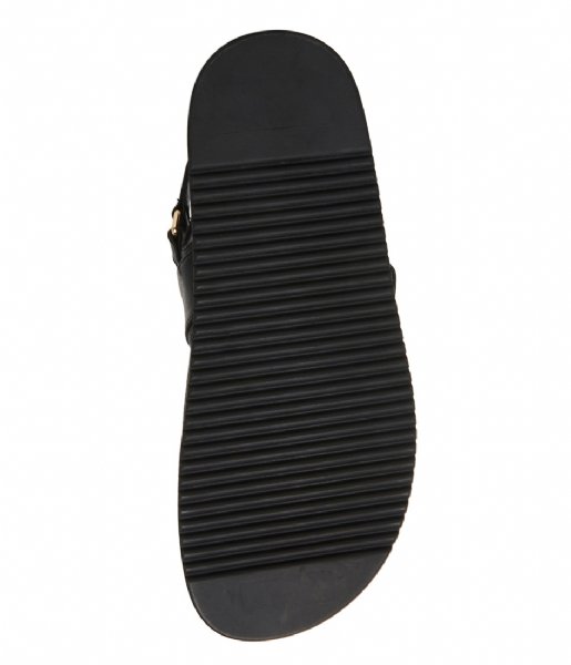 Steve Madden  Mona Sandal Black Leather (017)