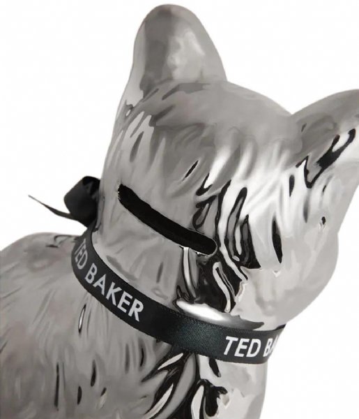 Ted Baker  Mrvivo Cat Money Box Silver (08)