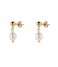 The Little Green Bag Oorbellen Freshwater Pearl Studs X My Jewellery gold colored