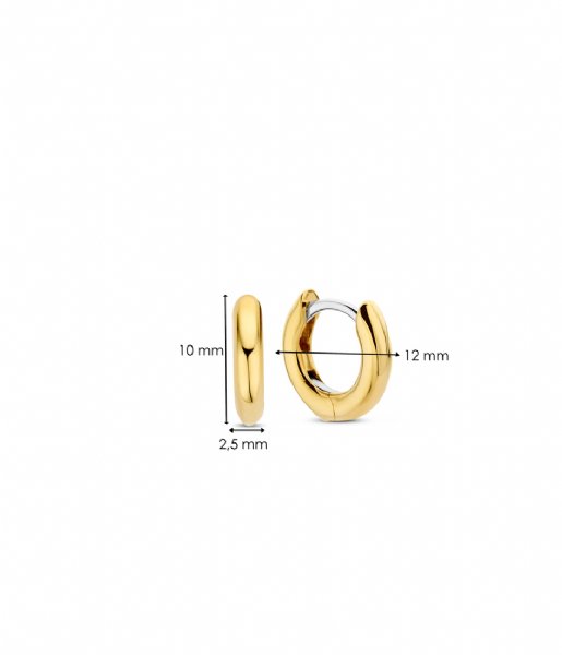TI SENTO - Milano  925 Sterling Silver Earrings 7811YS Silver gold-coloured